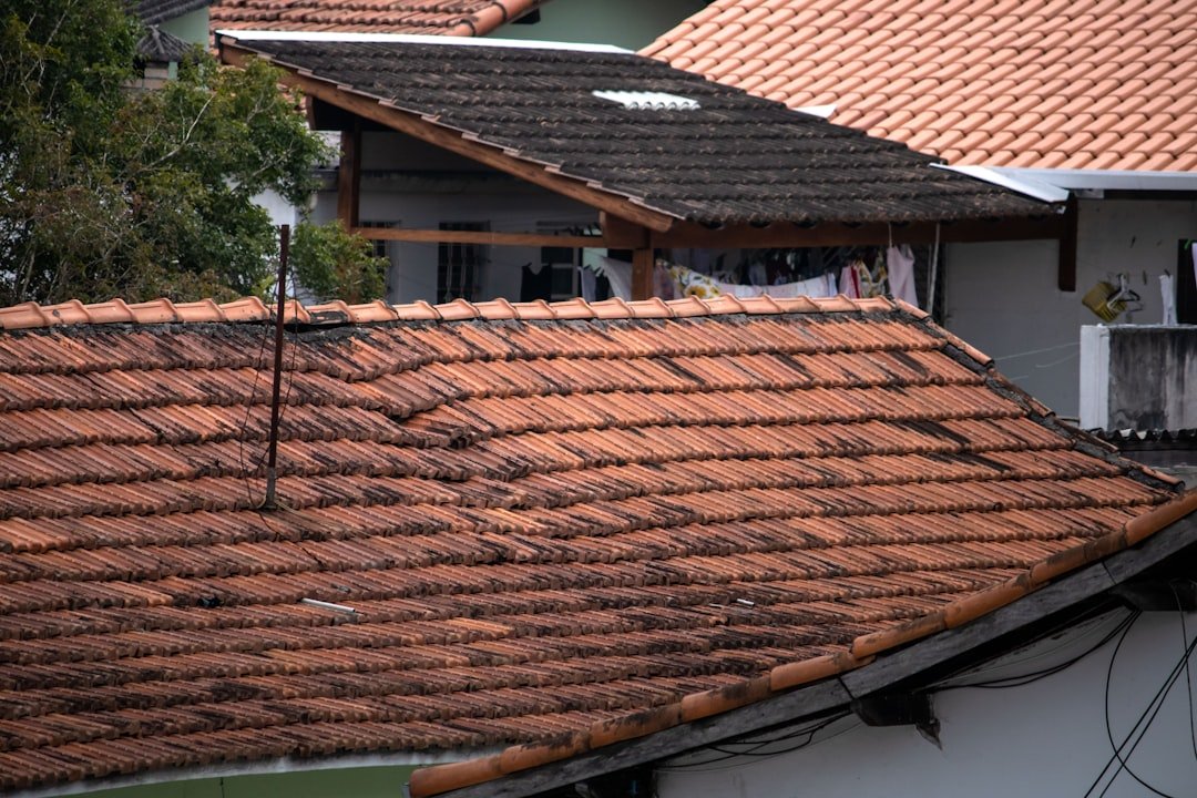 roof replacement costs