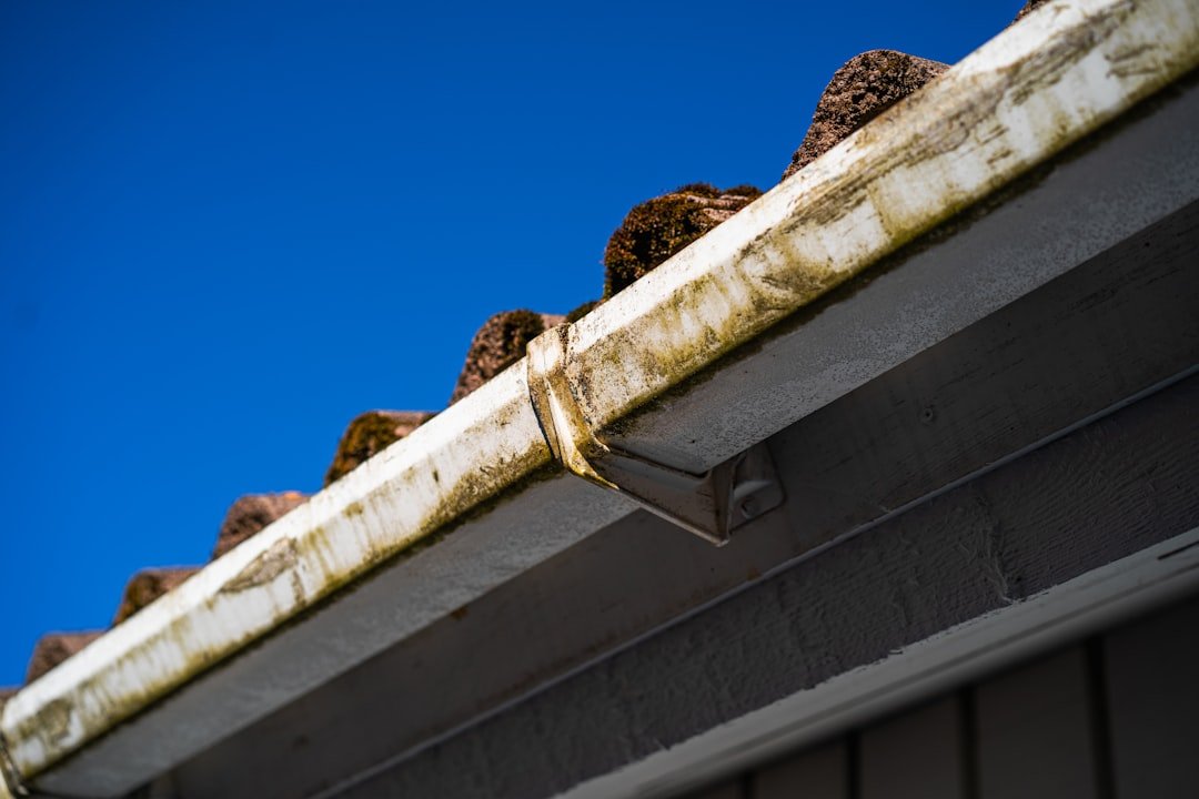 gutter repair near me