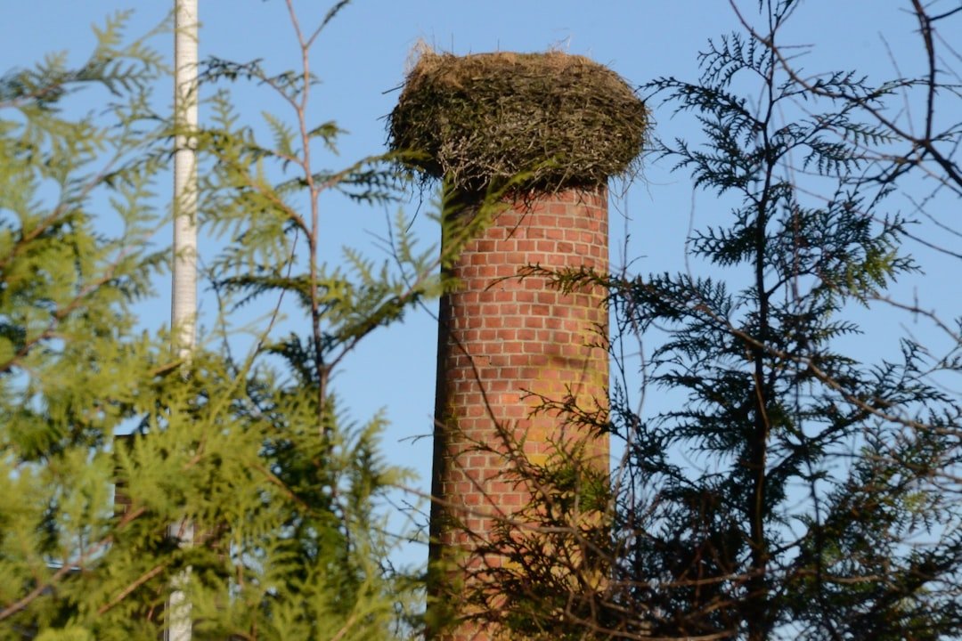 A Homeowner’s Guide to Chimney Rain Cap Installation Prices